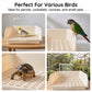 🐦 LIMITED-TIME 50% OFF! 🚿 Electric Bird Bath with Rain Shower & Perch – Safe, Quiet Pump for Happy Birds 🛀
