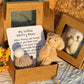 💖Today Buy One Get One Free🎁Handmade Mini Plush Teddy Bear in Box🧸