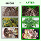 🎁 Hot Sale 49% OFF 🔥All Purpose Concentrated Liquid Fertilizer