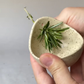 Pottery Herb Stripper(Jon Hamblin Handmade®) - BUY 3 GET 20% OFF&FREE SHIPPING