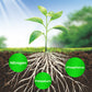 🎁 Hot Sale 49% OFF 🔥All Purpose Concentrated Liquid Fertilizer