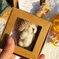 💖Today Buy One Get One Free🎁Handmade Mini Plush Teddy Bear in Box🧸