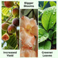 🎁 Hot Sale 49% OFF 🔥All Purpose Concentrated Liquid Fertilizer
