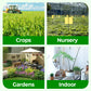 🎁 Hot Sale 49% OFF 🔥All Purpose Concentrated Liquid Fertilizer