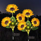 🌻 BUY 2 GET 1 FREE! ☀️ Sunflower Solar Lights – Glowing Petals, Auto On/Off & Perfect for Garden & Pathway Decor 🌙
