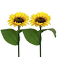 🌻 BUY 2 GET 1 FREE! ☀️ Sunflower Solar Lights – Glowing Petals, Auto On/Off & Perfect for Garden & Pathway Decor 🌙
