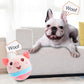 🔥Hot Sale 50% OFF - Active Moving Pet Plush Toy🎁