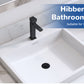 Hibbent Upgraded 3-in-1 Sink Drain Filter, Universal Pop-Up Stopper, Removable Stainless Steel Basket-Shaped Hair Catcher