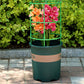 🔥Hot Sale 49% 0FF🔥Removable plant stand support stakes for plants and flowers and fruits