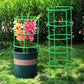 🔥Hot Sale 49% 0FF🔥Removable plant stand support stakes for plants and flowers and fruits