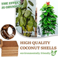 ✅LIMIT TIME 49% OFF 5pcs🌱Natural coco coir floor tiles