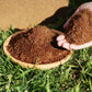 ✅LIMIT TIME 49% OFF 5pcs🌱Natural coco coir floor tiles