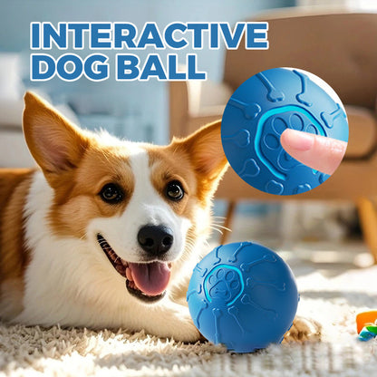 🎉2025 New Products Hot Sale✨Interactive Dog Ball
