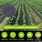 🔥Last day to enjoy a 49% discount—high-end woven weed barrier