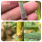 🛠️ Buy 2 Get 1 Free! ✨ 50pcs Silicone Grafting Sleeves – Flexible, Durable & Promotes Fruit Tree Healing 🌳✨