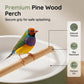 🐦 LIMITED-TIME 50% OFF! 🚿 Electric Bird Bath with Rain Shower & Perch – Safe, Quiet Pump for Happy Birds 🛀