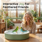 🐦 LIMITED-TIME 50% OFF! 🚿 Electric Bird Bath with Rain Shower & Perch – Safe, Quiet Pump for Happy Birds 🛀