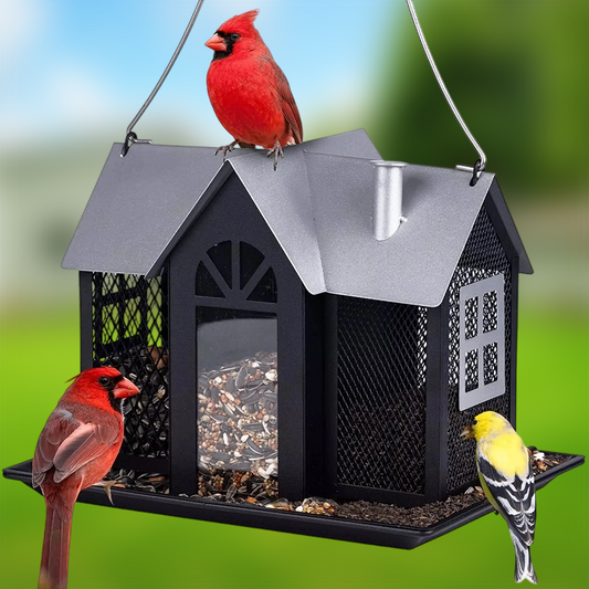 3-in-1 Outdoor Bird Feeder