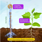 Growth-Boosting Electroculture Plant Stakes