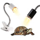 https://homewore.com/products/reptile-hegd