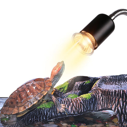 https://homewore.com/products/reptile-hegd