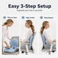 🎉This Week's Special Sales - 50% OFF✨Ergonomic Memory Foam Seat Cushion with Back Support