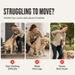 🐾 Help Your Dog Move Freely Again ❤️