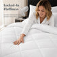 ⏳LIMITED-TIME 50% OFF! 💐3-Piece Quilted Comforter Set with Shams⏰