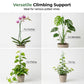 Green Garden Stakes for Climbing Plants
