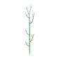 Green Garden Stakes for Climbing Plants