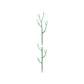 Green Garden Stakes for Climbing Plants