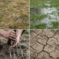Garden Ground Stakes for Soil Loosening