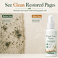 Wallpaper Mold & Mildew Stain Remover Spray