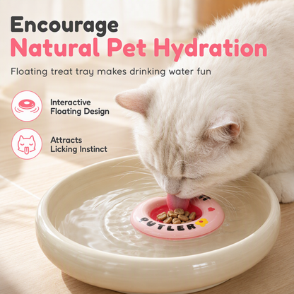 Pet Water Bowl and Drinking Dish for Cats and Puppies