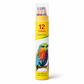 Oil Based Colored Pencils Set for Kids and Students School Drawing in Paper Tube Canister