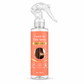 Smoothing and Repair Leave-In Hair Spray for Dry Frizzy and Tangled Hair 100ml